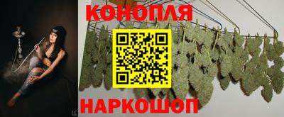 прущие грибы Рузаевка
