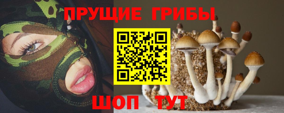 Галлюциногенные грибы Psilocybine cubensis Рубцовск