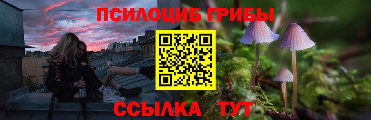 Галлюциногенные грибы Psilocybe  продажа наркотиков  Рубцовск  Вход с VPN 